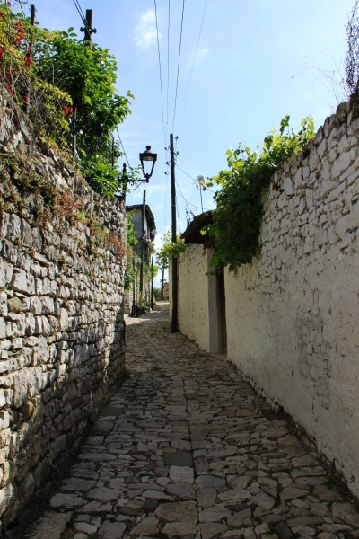 Albanie (119)