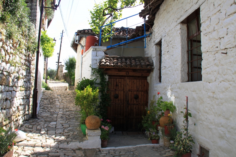Albanie (122)