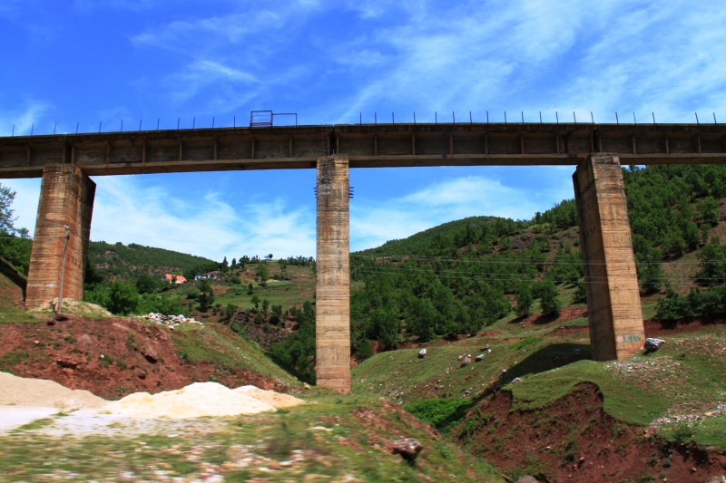 Albanie (131)