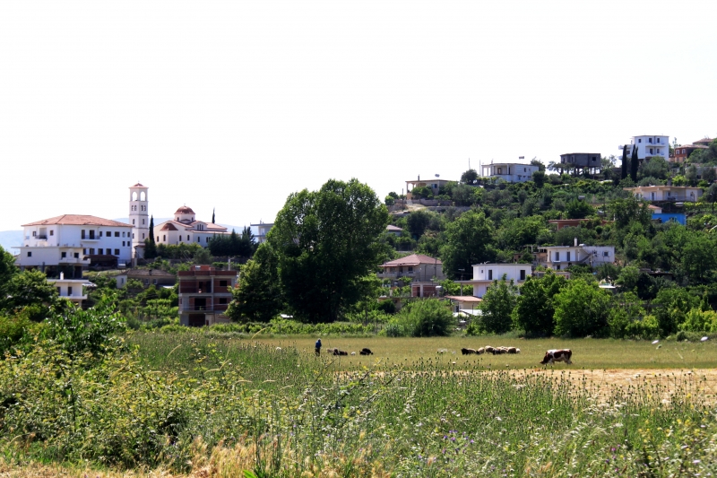 Albanie (146)