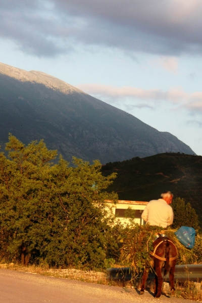 Albanie (59)