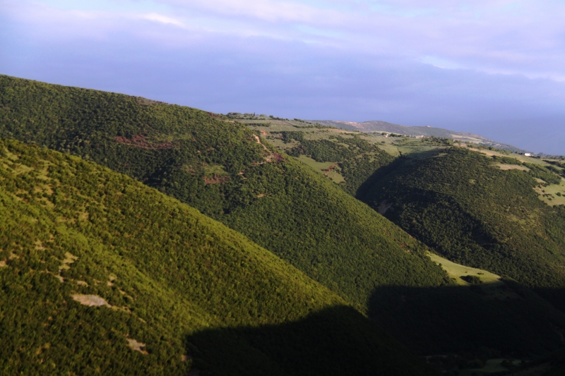 Albanie (61)