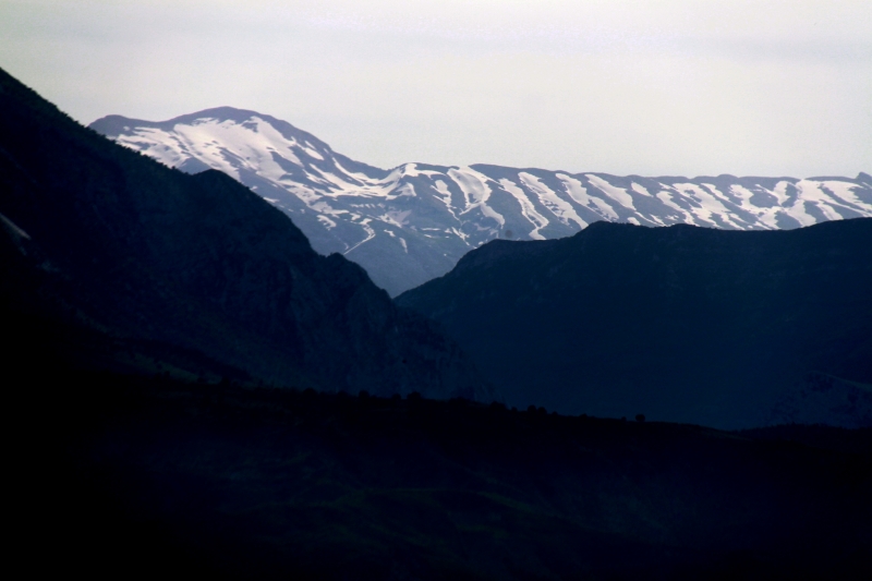 Albanie (65)