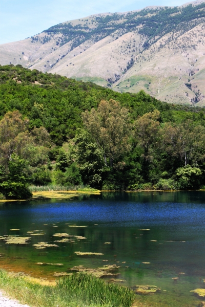 Albanie (69)