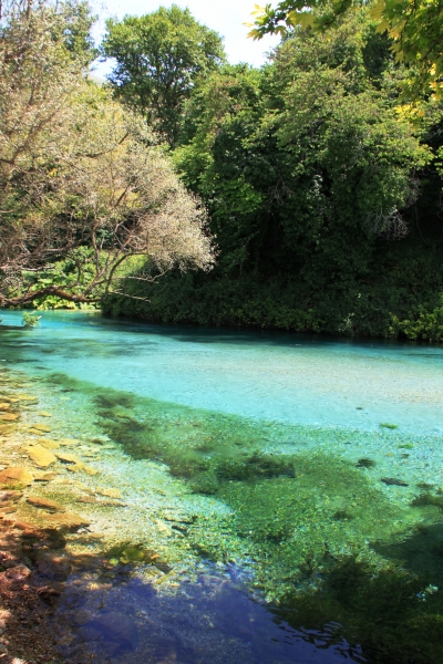 Albanie (72)