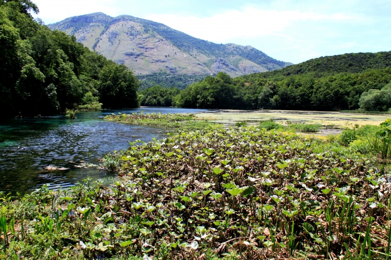 Albanie (73)
