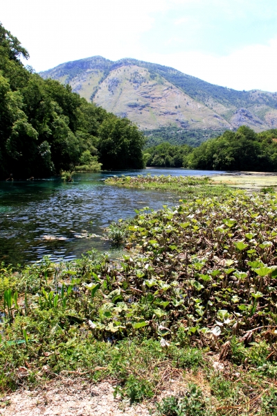 Albanie (74)