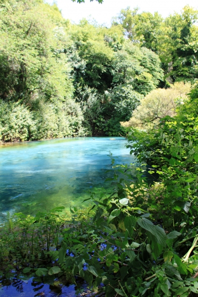 Albanie (83)