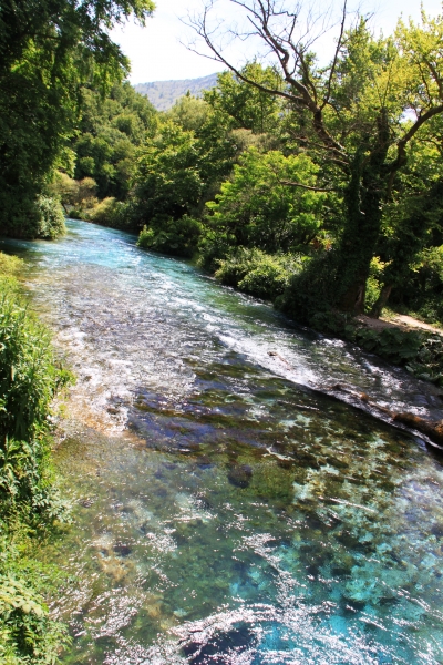 Albanie (89)