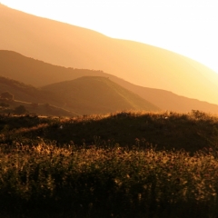 Albanie (32)
