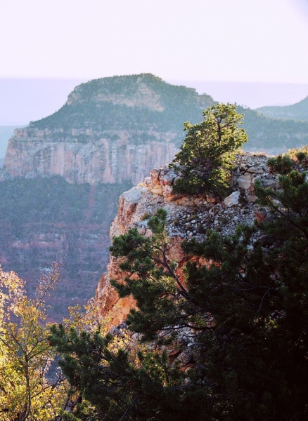 VS - Arizona (18)