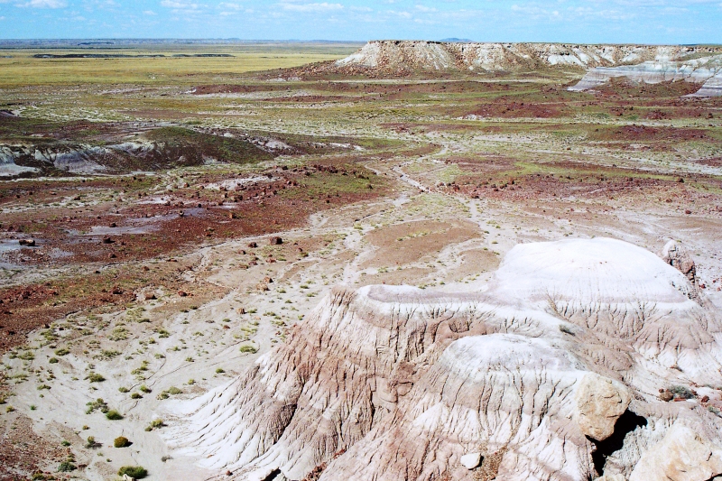 VS - Arizona (28)