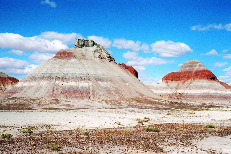 VS - Arizona (30)