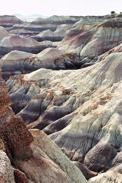 VS - Arizona (35)