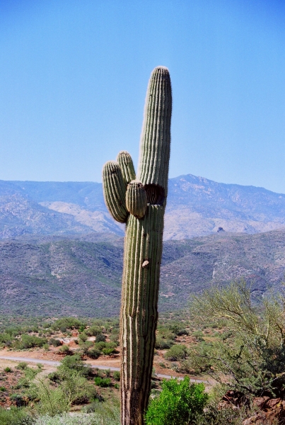 VS - Arizona (47)