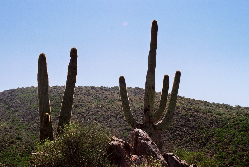 VS - Arizona (48)