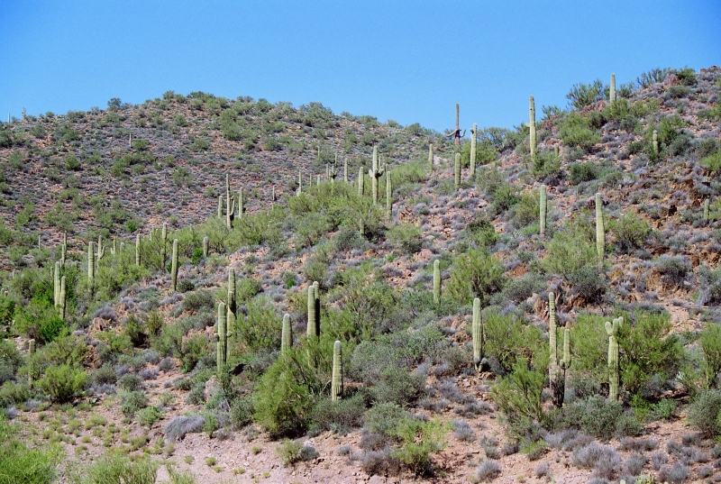 VS - Arizona (55)
