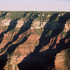 VS - Arizona (11)