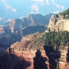 VS - Arizona (14)