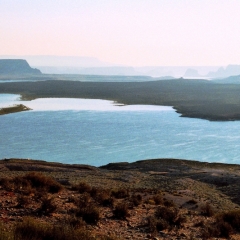 VS - Arizona (24)