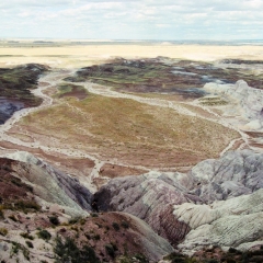 VS - Arizona (26)