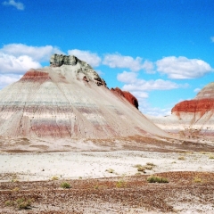 VS - Arizona (30)