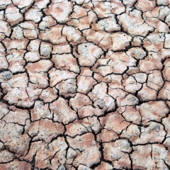 VS - Arizona (33)