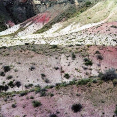 VS - Arizona (34)