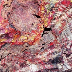 VS - Arizona (37)