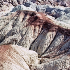 VS - Arizona (40)