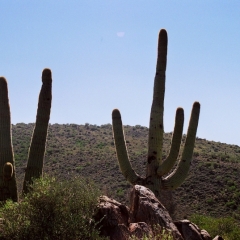 VS - Arizona (48)