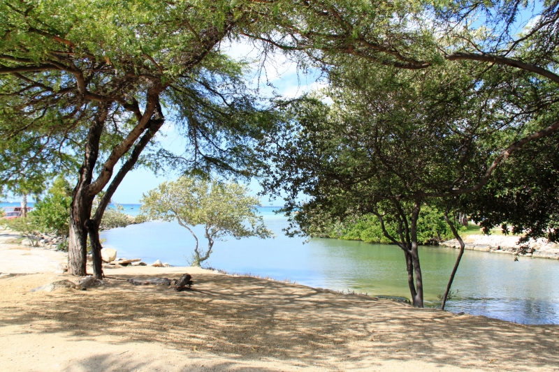 Aruba (26)