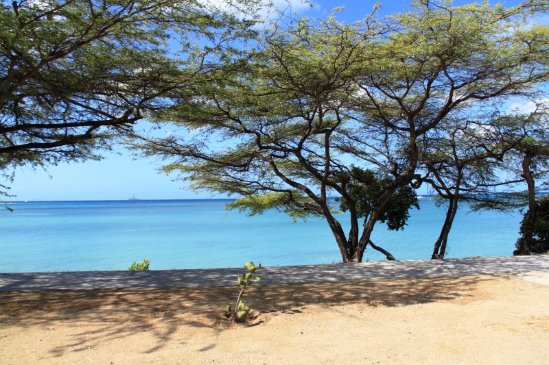 Aruba (28)
