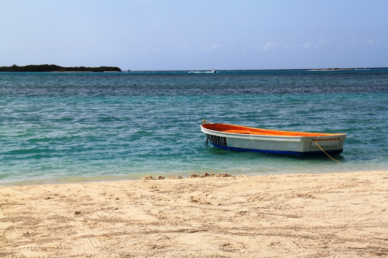 Aruba (47)