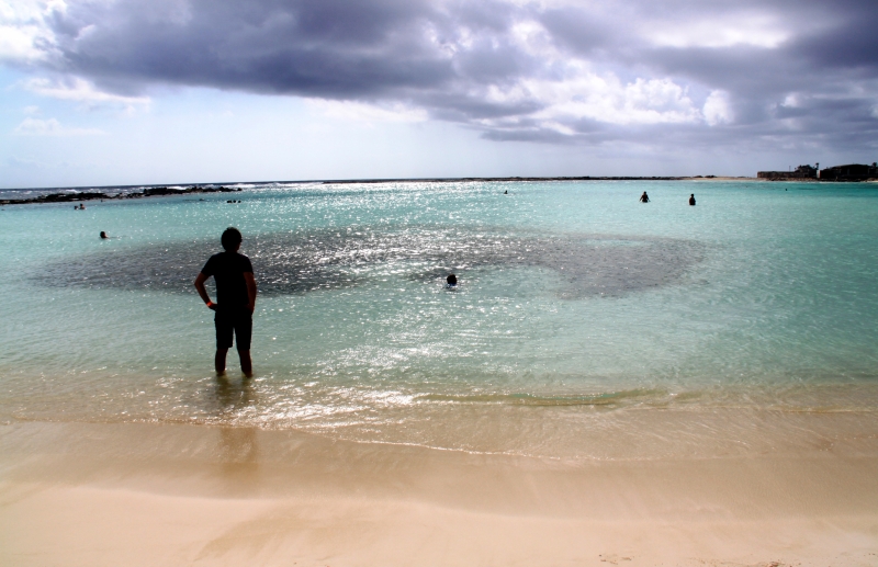 Aruba (51)