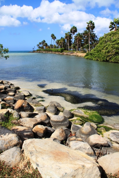 Aruba (52)