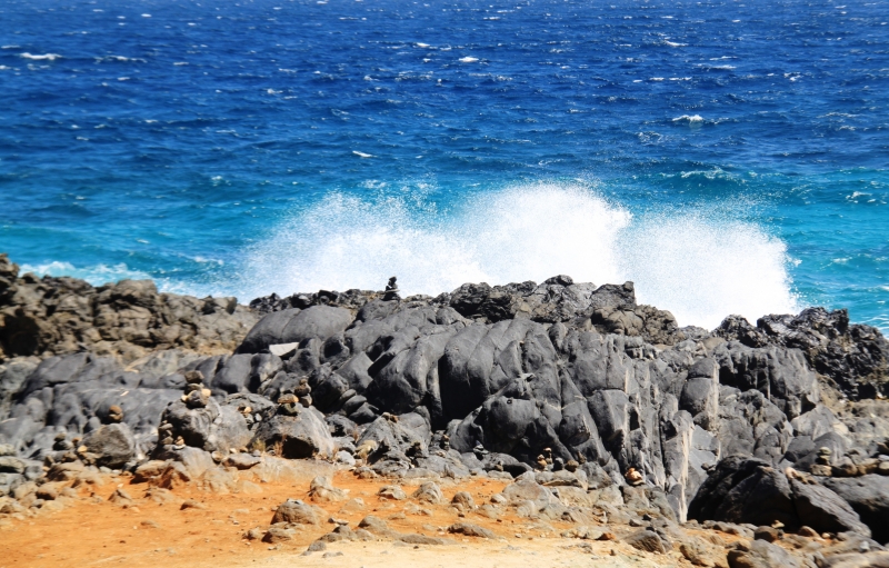 Aruba (54)