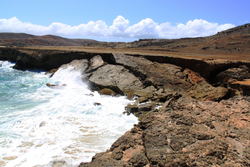 Aruba (56)