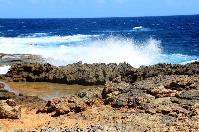 Aruba (57)