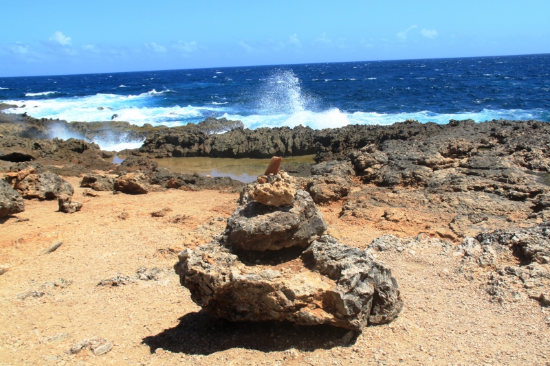 Aruba (58)