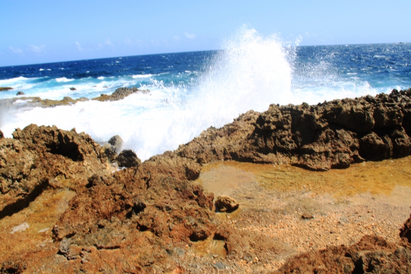 Aruba (59)