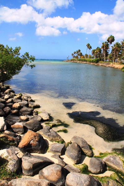 Aruba (63)