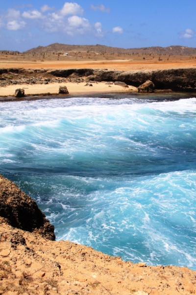 Aruba (64)