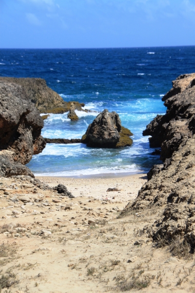 Aruba (65)
