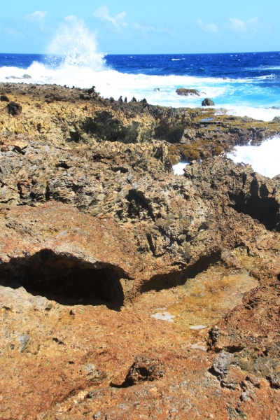 Aruba (73)