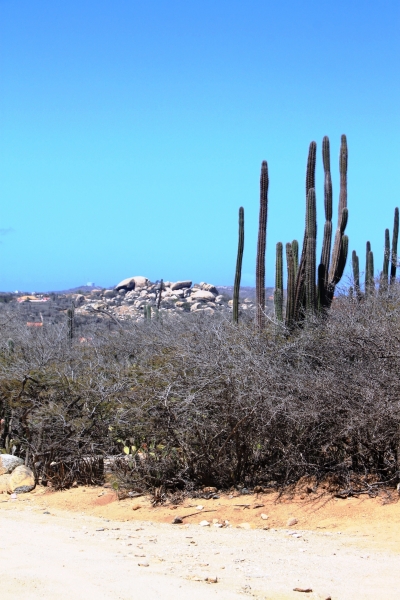 Aruba (9)