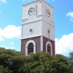 Aruba (36)