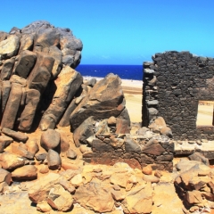 Aruba (39)