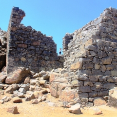 Aruba (41)