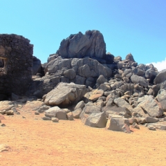Aruba (43)